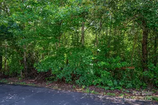 Lot 32 Line Dr, Forest City, NC 28043 - Photo 1