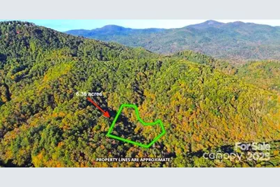 14 Johnny Farm Road, Black Mountain, NC 28711 - Photo 3