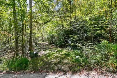 14 Johnny Farm Road, Black Mountain, NC 28711 - Photo 5