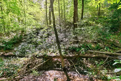 14 Johnny Farm Road, Black Mountain, NC 28711 - Photo 11