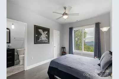 161 Birchwood Drive, Hendersonville, NC 28739 - Photo 29