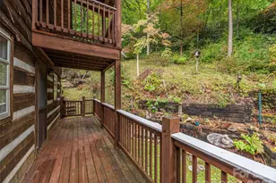 775 Chambers Cv Rd, Canton, NC 28716 - Photo 21