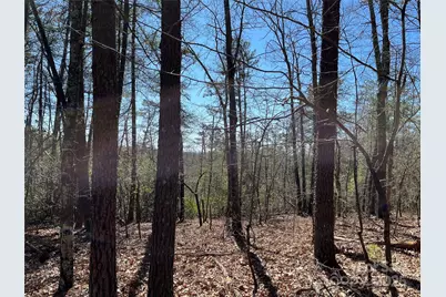 2500 Playmore Beach Road, Lenoir, NC 28645 - Photo 33