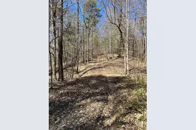 2500 Playmore Beach Road, Lenoir, NC 28645 - Photo 29