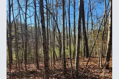 2500 Playmore Beach Road, Lenoir, NC 28645 - Photo 9