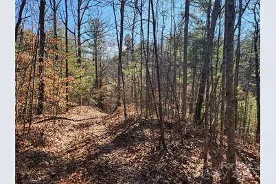 2500 Playmore Beach Road, Lenoir, NC 28645 - Photo 25