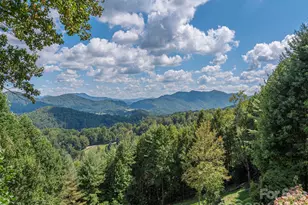 234 Historic Oak Trl, Waynesville, NC 28785 - Photo 9