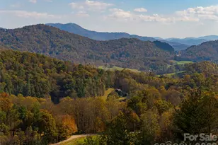 234 Historic Oak Trl, Waynesville, NC 28785 - Photo 5