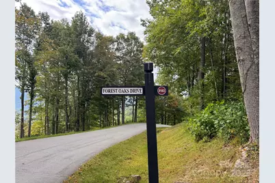 Tbd Bear Paw Road #15, Elk Park, NC 28622 - Photo 9