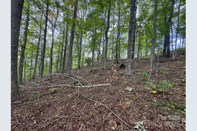 Tbd Bear Paw Road #15, Elk Park, NC 28622 - Photo 7