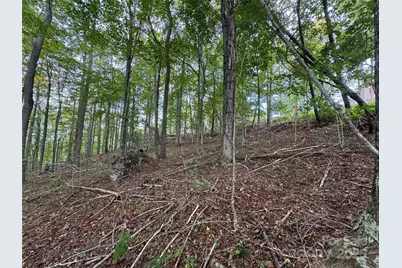 Tbd Bear Paw Road #15, Elk Park, NC 28622 - Photo 5