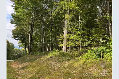 Tbd Bear Paw Road #15, Elk Park, NC 28622 - Photo 11