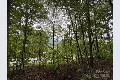 Tbd Bear Paw Road #15, Elk Park, NC 28622 - Photo 3