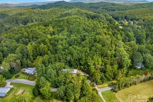 679 Solomon Jones Rd, Cedar Mountain, NC 28718 - Photo 3