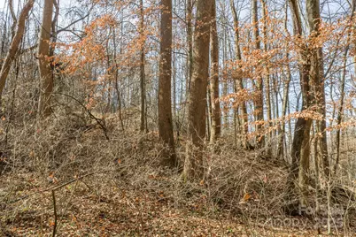 0 E Brocktown Road, Moravian Falls, NC 28654 - Photo 11