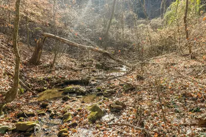 0 E Brocktown Road, Moravian Falls, NC 28654 - Photo 9