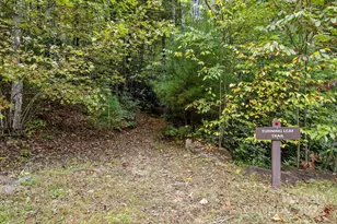 91 Boone Cove Rd, Zirconia, NC 28790 - Photo 43