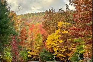 91 Boone Cove Rd, Zirconia, NC 28790 - Photo 47