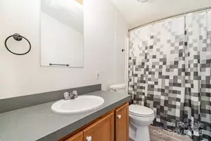 495 Brumley Rd, Mooresville, NC 28115 - Photo 19