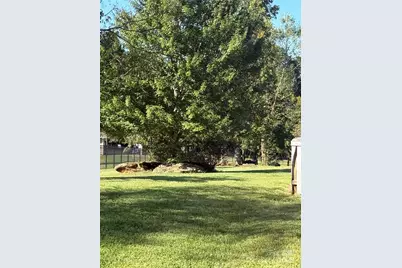 638 Lackey Mountain Road, Hiddenite, NC 28636 - Photo 3