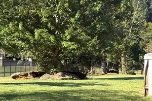 638 Lackey Mountain Rd, Hiddenite, NC 28636 - Photo 3