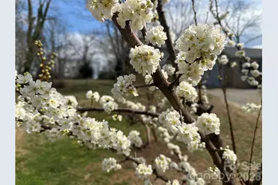 20 Merchant Street, Asheville, NC 28803 - Photo 25