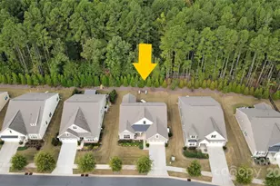 120 Van Gogh Trail, Mount Holly, NC 28120 - Photo 5