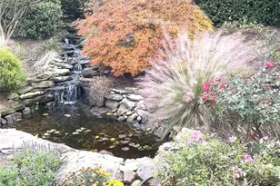 43041 Mimosa Ct, Fort Mill, SC 29707 - Photo 25