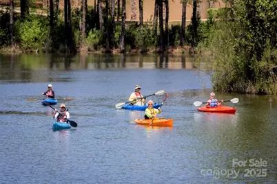43041 Mimosa Court, Fort Mill, SC 29707 - Photo 43