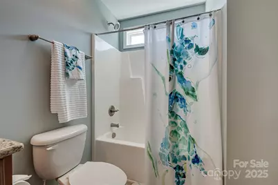 1266 Lange Court, Fort Mill, SC 29715 - Photo 19