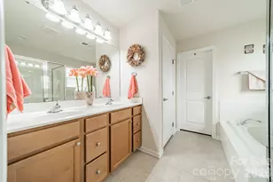 3556 Catherine Creek Pl, Davidson, NC 28036 - Photo 15