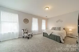 3556 Catherine Creek Pl, Davidson, NC 28036 - Photo 19