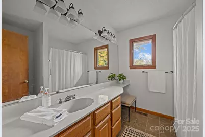 849 Reems Creek Road, Weaverville, NC 28787 - Photo 31