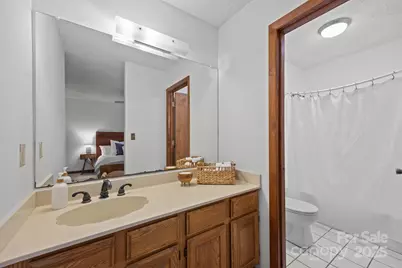 849 Reems Creek Road, Weaverville, NC 28787 - Photo 29