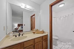 849 Reems Creek Rd, Weaverville, NC 28787 - Photo 29