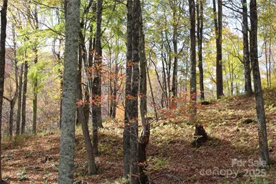 1571 Roaring Fork Road, Burnsville, NC 28714 - Photo 13