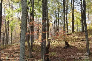 1571 Roaring Fork Rd, Burnsville, NC 28714 - Photo 13