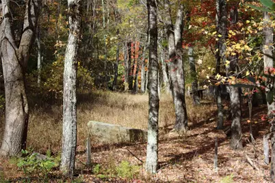 1571 Roaring Fork Road, Burnsville, NC 28714 - Photo 5