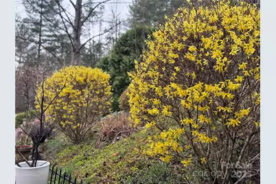 204 Pine Berry Circle, Hendersonville, NC 28739 - Photo 35