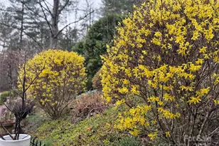 204 Pine Berry Cir, Hendersonville, NC 28739 - Photo 35