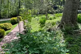 204 Pine Berry Cir, Hendersonville, NC 28739 - Photo 37