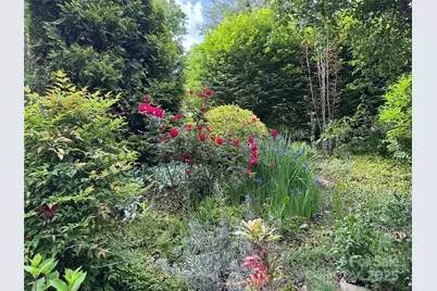 204 Pine Berry Circle, Hendersonville, NC 28739 - Photo 33