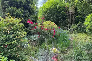 204 Pine Berry Cir, Hendersonville, NC 28739 - Photo 33