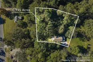 14 Luckenbach Dr, Fairview, NC 28730 - Photo 23