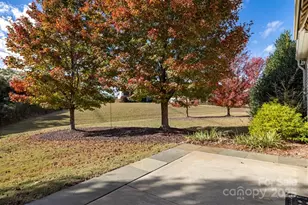 22156 E Tern Ct, Indian Land, SC 29707 - Photo 25