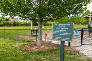 22156 E Tern Ct, Indian Land, SC 29707 - Photo 41