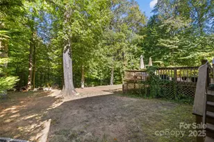 1326 Clifflure Ln, Fort Mill, SC 29708 - Photo 39