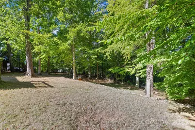 1326 Clifflure Lane, Fort Mill, SC 29708 - Photo 41
