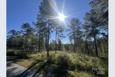 2478 Jumping Run #52, Connelly Springs, NC 28612 - Photo 5