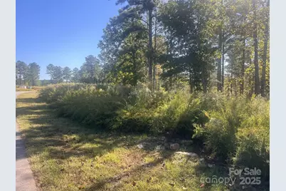 2478 Jumping Run #52, Connelly Springs, NC 28612 - Photo 3